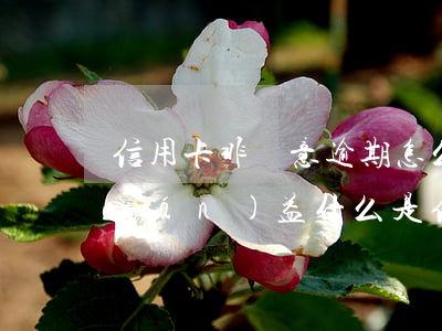信用卡非惡意逾期怎么保護(hù)權(quán)益 什么是信用卡惡意逾期