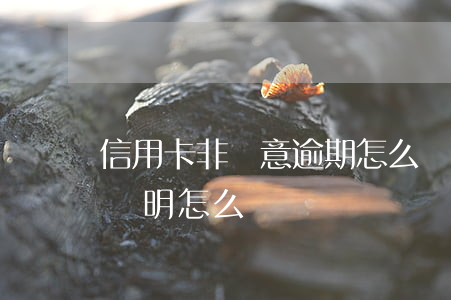 信用卡非惡意逾期怎么開(信用卡逾期非惡意證明怎么開)