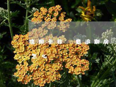 信用卡非惡意逾期房貸利率(房貸非惡意逾期怎么辦)