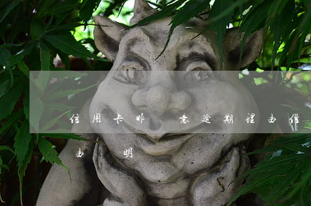 信用卡非惡意逾期理由(信用卡非惡意逾期理由證明)