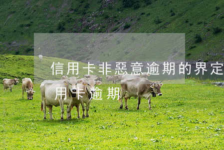 信用卡非惡意逾期的界定(什么情況下屬于信用卡逾期)