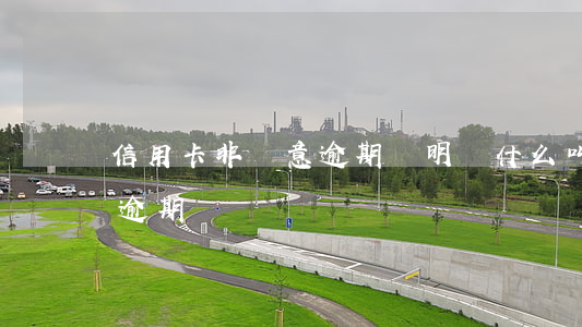 信用卡非惡意逾期說明書(什么叫信用卡惡意逾期)