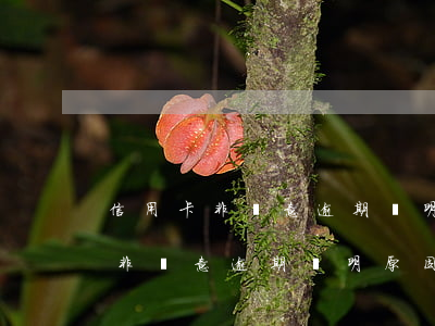 信用卡非惡意逾期證明原因怎么寫-信用卡非惡意逾期證明原因怎么寫啊