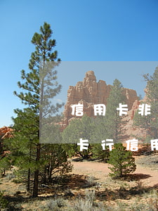 信用卡非惡意逾期證明是否要去發(fā)卡行(信用卡逾期銀行出具非惡意證明有用嗎)