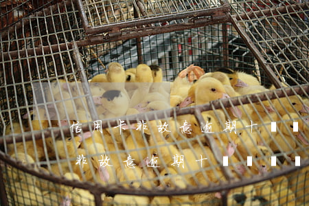 信用卡非故意逾期十幾塊錢嚴重嗎-信用卡非故意逾期十幾塊錢嚴重嗎怎么辦