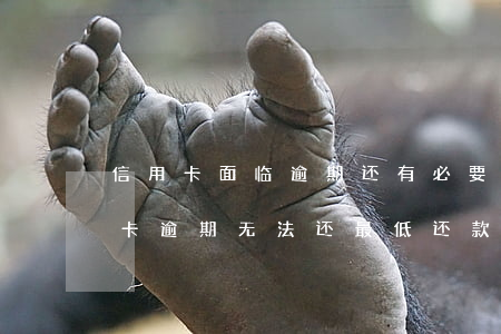 信用卡面临逾期还有必要还最低吗-当信用卡逾期无法还最低还款该怎么处理
