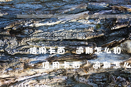 信用卡面臨逾期怎么和銀行協(xié)商-信用卡面臨逾期怎么和銀行協(xié)商還款