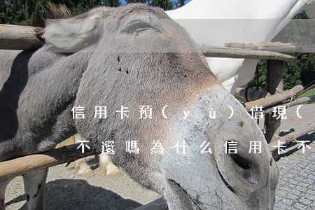 信用卡預(yù)借現(xiàn)金可以不還嗎(為什么信用卡不能預(yù)借現(xiàn)金)
