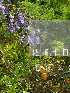 信用卡預(yù)授權(quán)有逾期嗎(怎么查信用卡預(yù)授權(quán)是否解除)