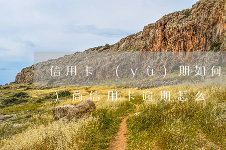 信用卡預(yù)期如何和銀行協(xié)商(信用卡逾期怎么協(xié)商)