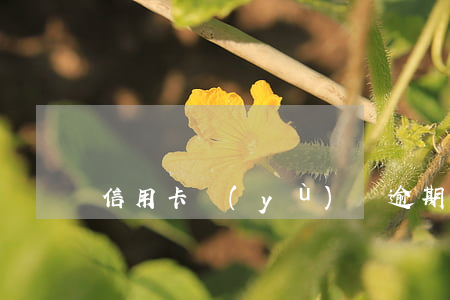 信用卡預(yù)約逾期