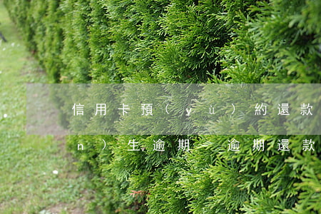 信用卡預(yù)約還款會不會產(chǎn)生逾期-逾期還款后能辦信用卡嗎