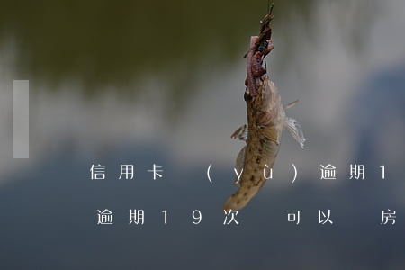 信用卡預(yù)逾期19次怎么貸款(征信逾期19次還可以辦房貸嗎)