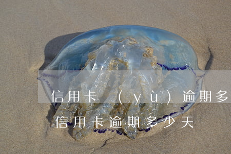 信用卡預(yù)逾期多少天算不良記錄-信用卡 逾期 多少天