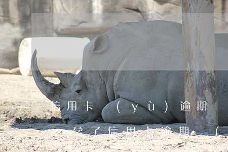 信用卡預(yù)逾期會(huì)坐牢嗎(懷孕了信用卡逾期會(huì)坐牢嗎)
