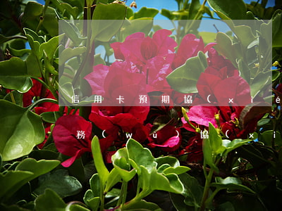 信用卡預期協(xié)商(信用卡逾期找法務(wù)協(xié)商多少錢)