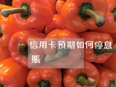 信用卡預期如何停息掛賬(信用卡怎么停息掛賬)