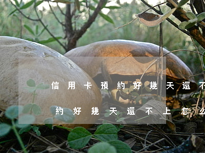 信用卡預約好幾天還不上怎么辦-信用卡預約好幾天還不上怎么辦呢