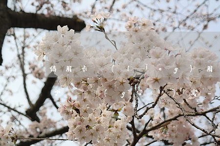 信用卡領(lǐng)用條約逾期三月是多少條規(guī)定-信用卡領(lǐng)用條約逾期三月是多少條規(guī)定的