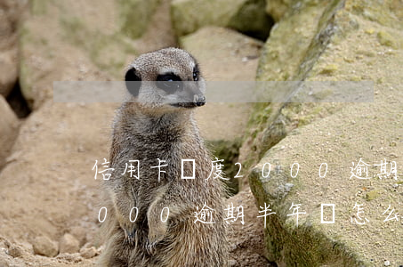 信用卡額度2000逾期了怎么辦(信用卡2000逾期半年會怎么樣)