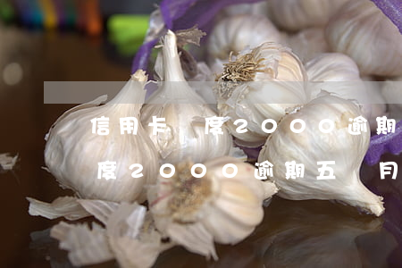 信用卡額度2000逾期五個月-信用卡額度2000逾期五個月會怎么樣