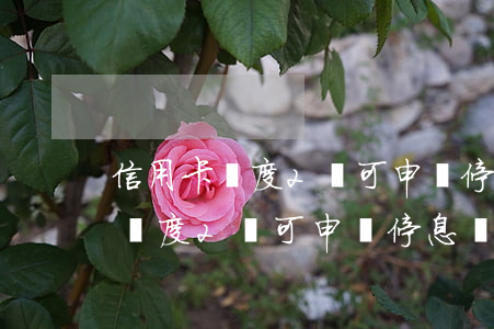 信用卡額度2萬可申請停息掛賬嗎-信用卡額度2萬可申請停息掛賬嗎安全嗎