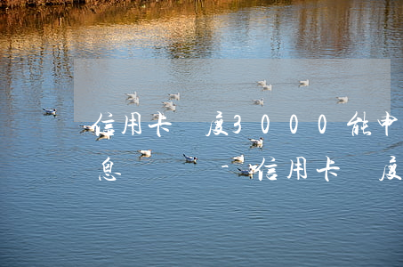 信用卡額度3000能申請(qǐng)停息掛賬嗎-信用卡額度3000能申請(qǐng)停息掛賬嗎知乎