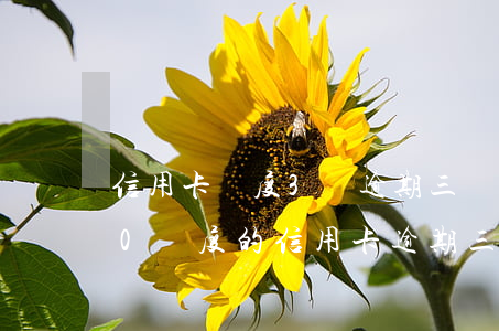 信用卡額度3萬逾期三個(gè)月(3000額度的信用卡逾期三個(gè)月)
