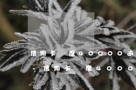 信用卡額度40000逾期四個(gè)月-信用卡額度40000逾期四個(gè)月會(huì)怎么樣