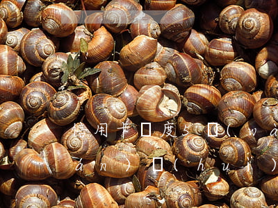 信用卡額度5萬(wàn)逾期失聯(lián)會(huì)坐牢嗎-信用卡額度5萬(wàn)逾期失聯(lián)會(huì)坐牢嗎判幾年