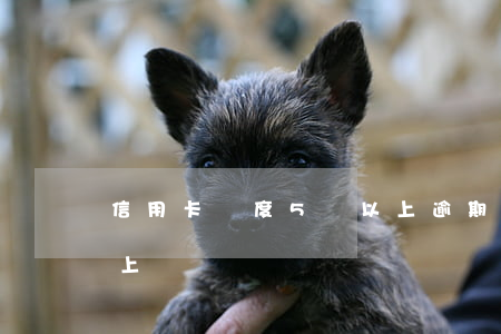 信用卡額度5萬以上逾期(信用卡逾期五萬以上)
