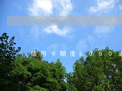信用卡額度6000逾期5年