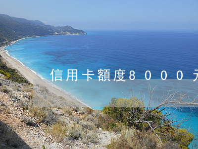 信用卡額度8000元逾期了