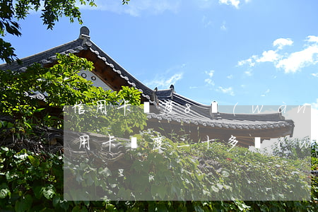 信用卡額度8萬(wàn)四逾期(六七張信用卡額度二十多萬(wàn)全部逾期)
