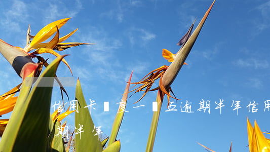 信用卡額度一萬五逾期半年(信用卡1萬5逾期半年)