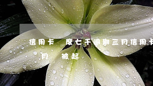 信用卡額度七千逾期三月(信用卡七千逾期三個月會被起訴嗎)