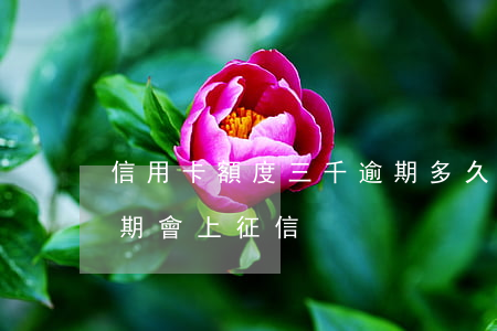 信用卡額度三千逾期多久上征信(多少額度逾期會上征信)