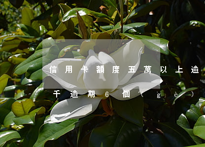 信用卡額度五萬以上逾期多久起訴 信用卡5千逾期6個(gè)月起訴了