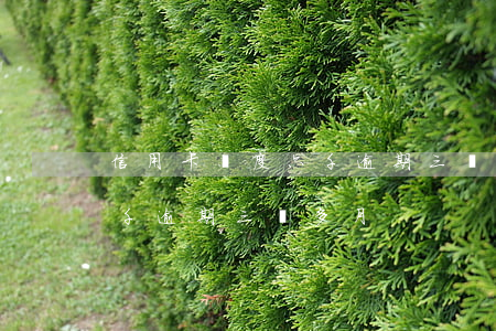 信用卡額度六千逾期三個多月(信用卡額度六千逾期三個多月)