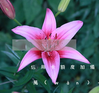 信用卡額度加備用金逾期超過(guò)十萬(wàn)-信用卡額度加備用金逾期超過(guò)十萬(wàn)怎么辦