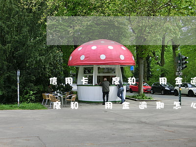信用卡額度和備用金逾期怎么辦-信用卡額度和備用金逾期怎么辦理