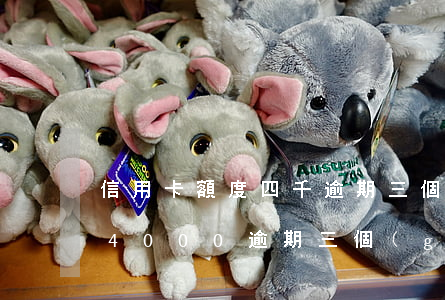 信用卡額度四千逾期三個(gè)月(信用卡4000逾期三個(gè)月)