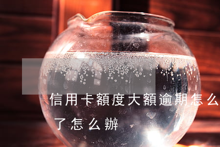 信用卡額度大額逾期怎么辦(還信用卡額度超了怎么辦)