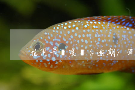 信用卡額度幾千逾期1年