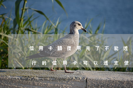 信用卡額度用完了不能透支(哪個(gè)銀行的信用卡可以透支使用額度)
