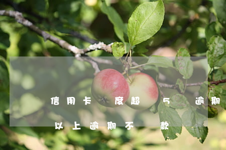 信用卡額度超過5萬逾期沒還 欠信用卡5萬以上逾期不還款