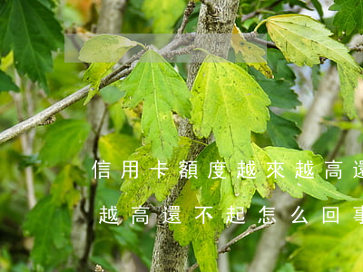 信用卡額度越來越高還不起(信用卡額度越來越高還不起怎么回事)
