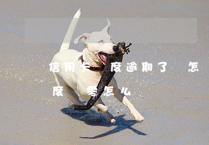 信用卡額度逾期了會怎樣-逾期了信用卡額度為零怎么辦