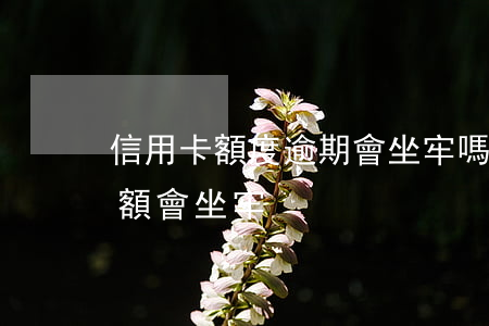 信用卡額度逾期會坐牢嗎(信用卡逾期多少金額會坐牢)