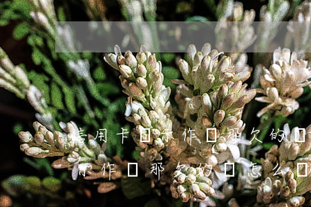 信用卡顯示作廢那欠的錢怎么還-信用卡顯示作廢那欠的錢怎么還款